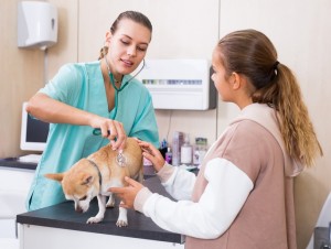 Санитар ветеринарный